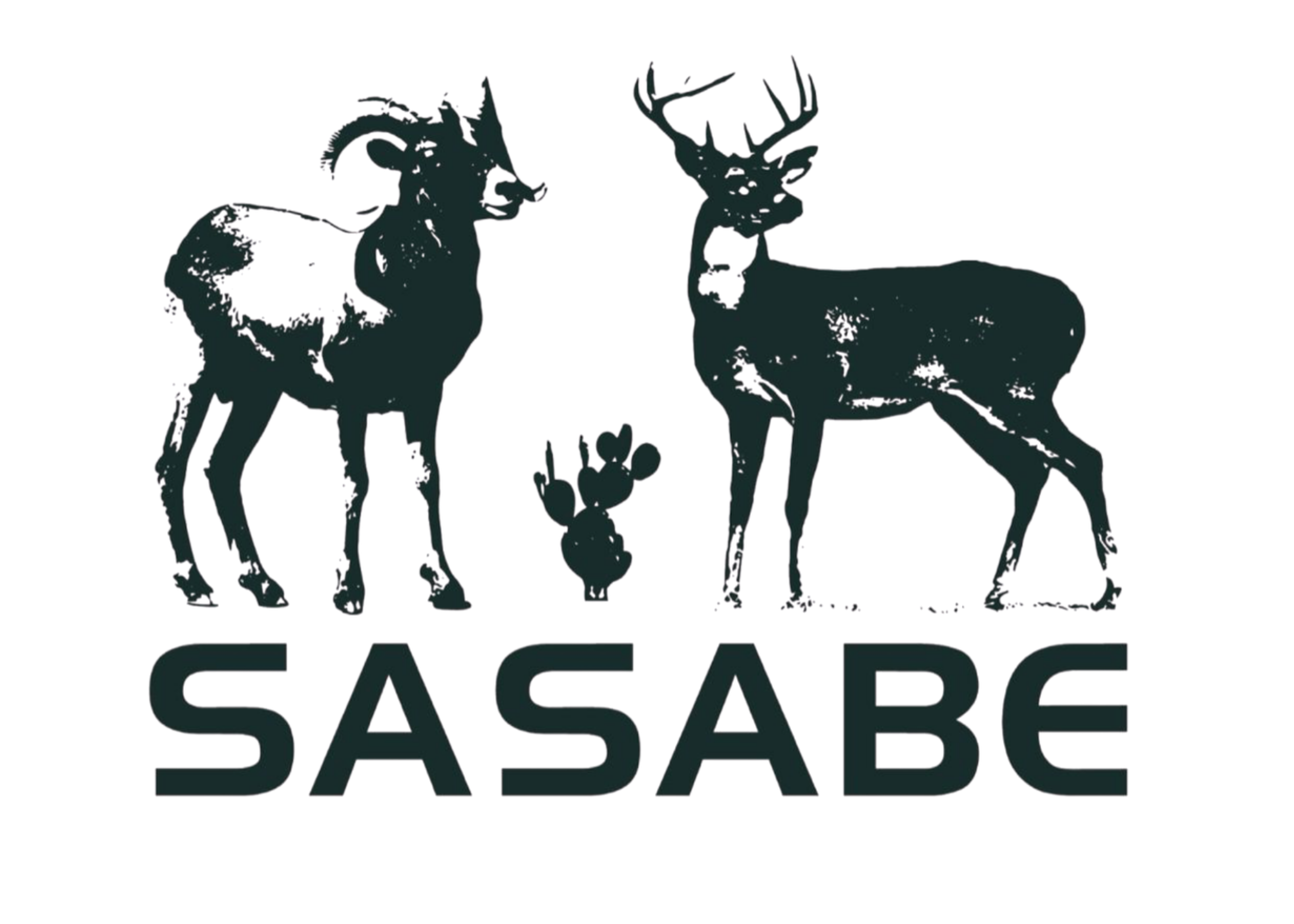 Sasabe